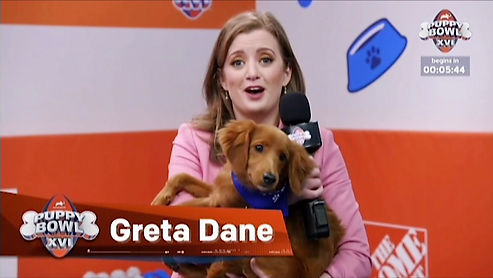 Puppy Bowl clips
